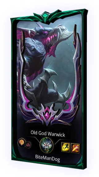 Guia Warwick Definitiva